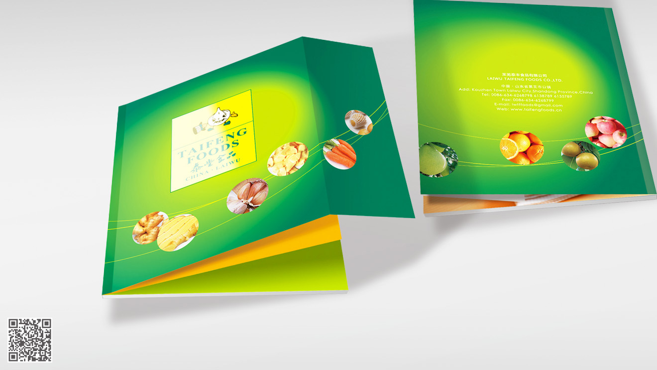 泰丰食品画册设计